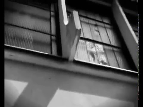 Niktofobia Crew - Kade vodi agonijava