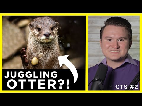Can Otters Juggle?: Puijila is an Otter NOT a Transitional Fossil | CTS S2 E2