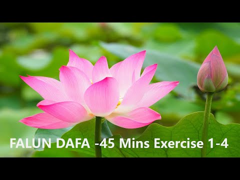[FALUN DAFA]  45 MINS Music for Exercises 1-4