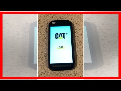 Cat phones cat s41 rugged smartphone review by BuzzFresh News