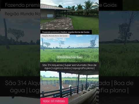 314 Alqueires em Mundo Novo Go / whatsapp 62 99373-6407