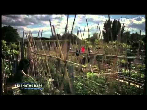 RAI 1 CINEMATOGRAFO - Una vita da sogno - INTERVISTA