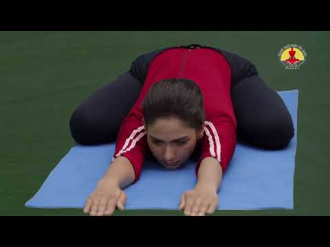 Yoga day 2021
