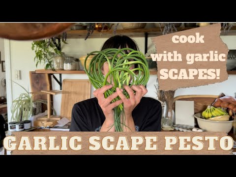 The Best Homemade Pesto Recipe