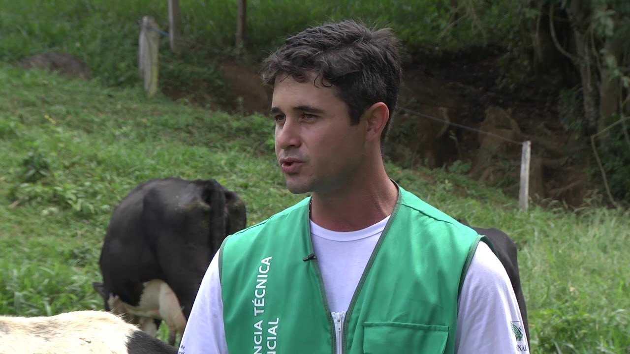 SENAR EM CAMPO - Histórias de Sucesso/ Bovinocultura de Leite (GO)