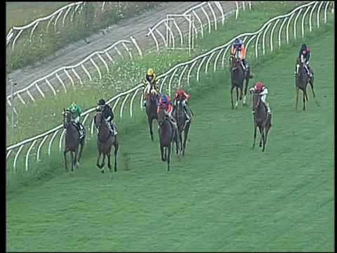 Galoppo 29/07/2016 - 3° corsa