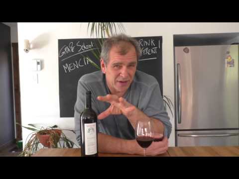 Wine grape school: Mencia