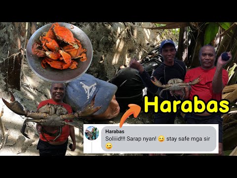 Napabilib pati si idol Harabas | Forage and Cook Giant Mud Crab