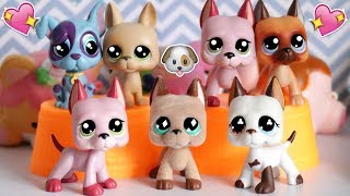All Of My Lps Great Danes || LPS Great Dane Collection