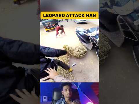 Unbelievable! Leopard Rescue In India