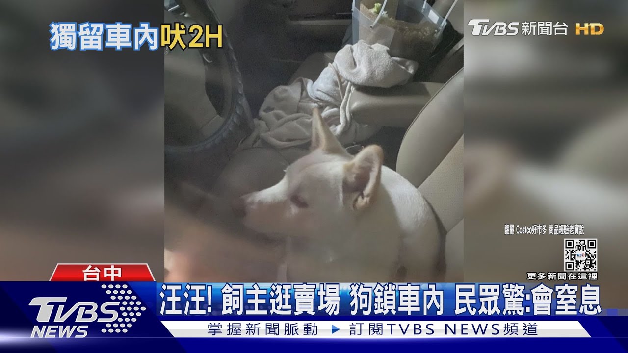 汪汪!飼主逛賣場狗鎖車內 民眾驚:會窒息