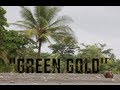 "GREEN GOLD" | BLITZCLIPS