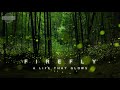 Firefly 4K HD || Experience fireflies like never before || by Hugs of life
