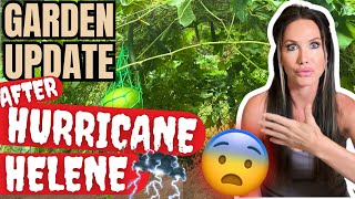 GARDEN UPDATE AFTER HURRICANE HELENE (EAST, TENNESSEE)