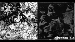 Hibernation Slavebreed-split 7