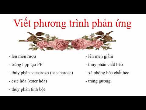 viết phương trinh phản ứng lên men rượu, lên men giấm, trùng hợp nhựa PE