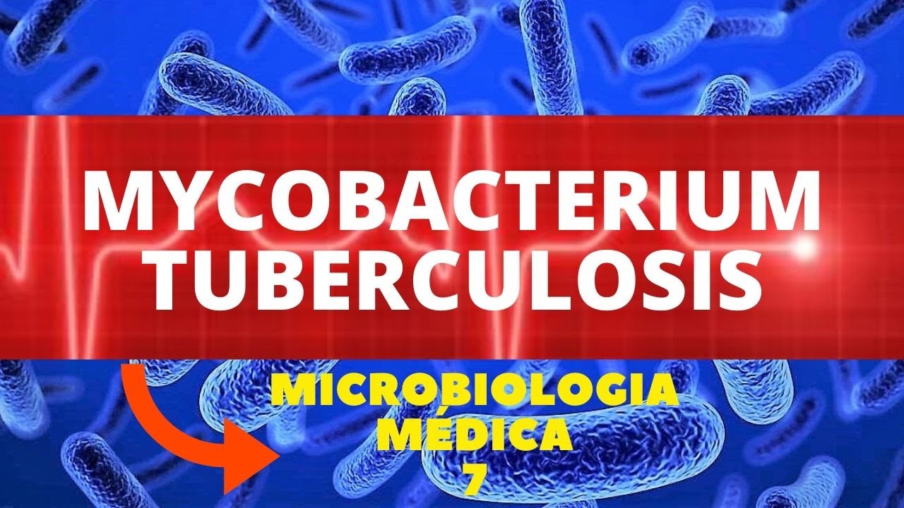 MYCOBACTERIUM TUBERCULOSIS - MICROBIOLOGIA MÉDICA - AULA 7