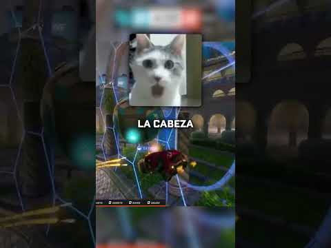 Quien Eligio - Zen