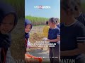 Home 24 Video thumbnail