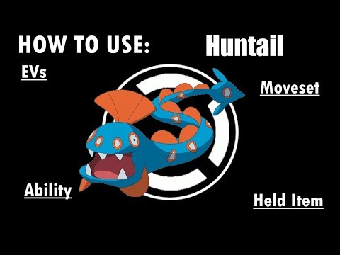 Competitive Guides- How To Use Huntail