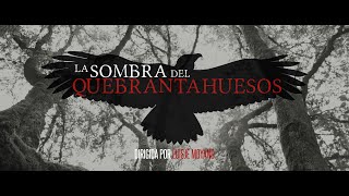 Tráiler oficial de la película "La sombra del quebrantahuesos".