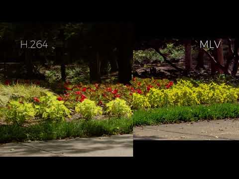 H.264 vs MLV Canon EOS M