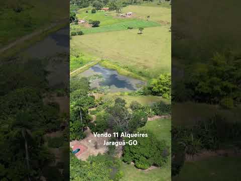💰R$3.850.000,00 R$350.000,00 p/ alqueire📲62984033151 César Oliveira #chacara #fazenda #pecuaria