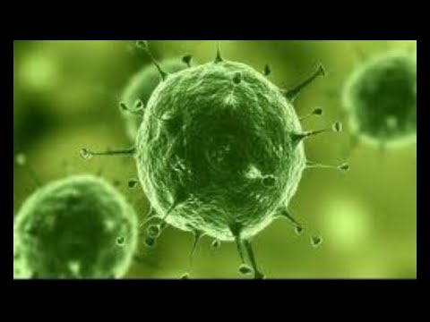 TOD NACH 4 SEKUNDEN! Gefährliche Killerviren aus Afrika / Doku Deutsch