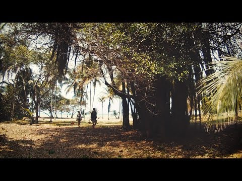 Courtier (Actio Grenzgänger) - Alles was das Herz begehrt