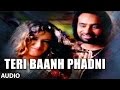 Teri Baanh Phadni Babbu Maan Punjabi Audio Songs Pyaas T Series Apna Punjab