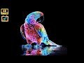 3D HOLOGRAM NEON RAINFOREST ANIMALS RAINBOW GLOW