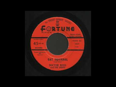 Doctor Ross - Cat Squirrel - Blues 45