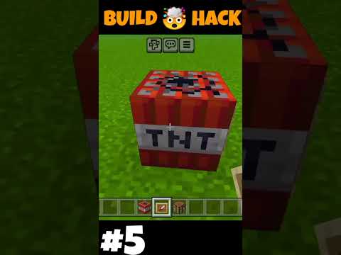 Viral Minecraft Build Hack #5