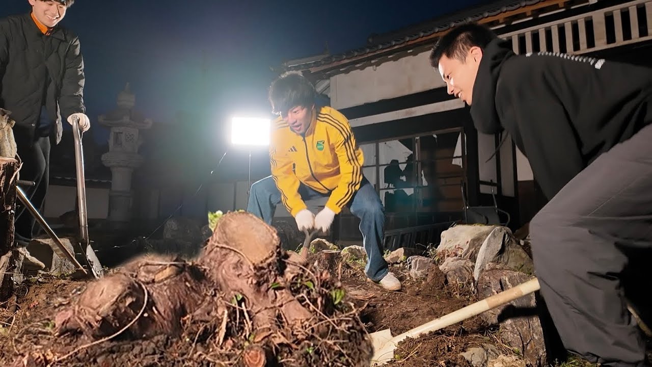 城の庭に生えてた巨大切り株を人力除去。