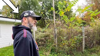 Veteran was STUNNED we Found this Buried in his Overgrown Yard!