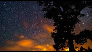 The Field Mice  -  Below the Stars