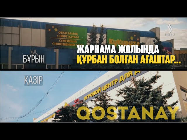 Жарнаманың жолында құрбан болған қайран ағаштар…