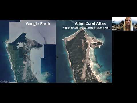 Allen Coral Atlas: a New Tool for Coral Reef Management