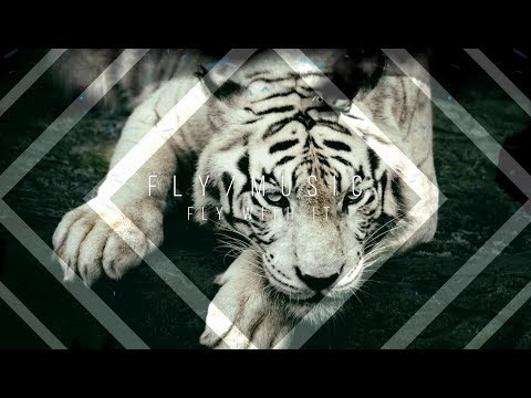 TwoWorldsApart  Tom Bourra ft  Max Landry   Make It Home 2017