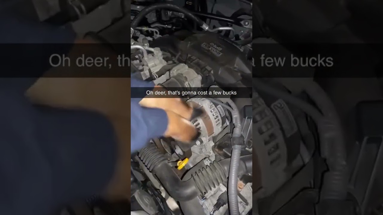 I Think Bro Got Scammed 🤣🤣 #automobile #mechanicproblems #mechanic #memes #deer