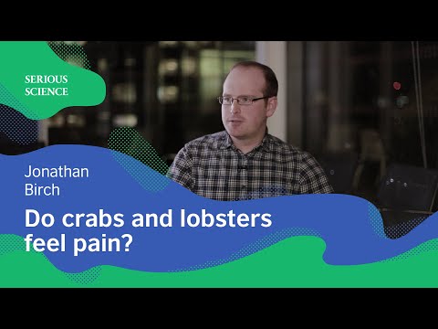 Animal Sentience — Jonathan Birch / Serious Science