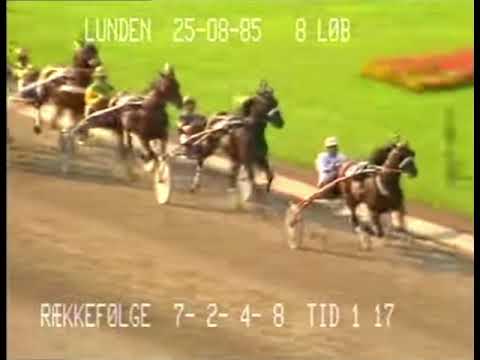 Dansk Trav Derby 1985 - Hawkeye