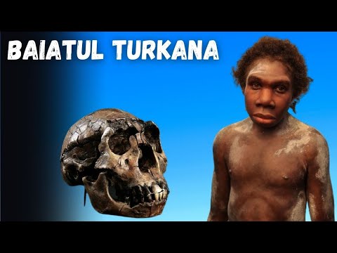 Since when are we Bipeds? Turkana Hominids