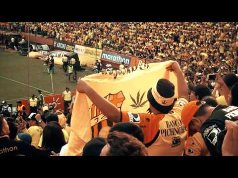 The poetic voice of Barcelona