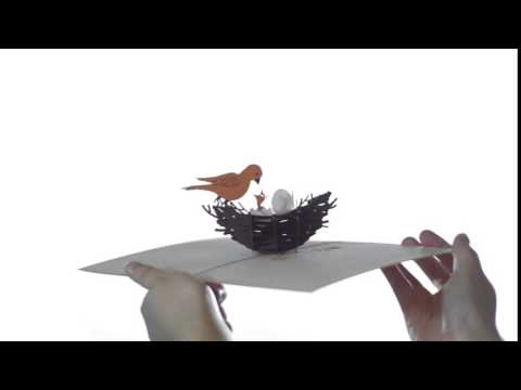 Bird nest card opening