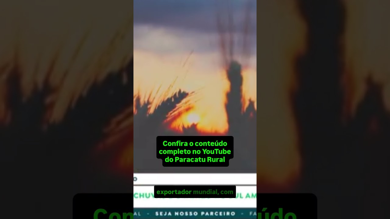 Feijão a R$300, arroz a R$90 e trigo em risco: o que esperar dos preços?