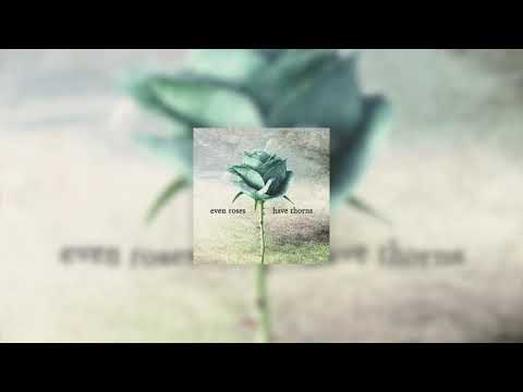 voljum - even roses have thorns