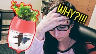 Rating The Best And Worst Betta Fish Tanks For Sale Online Part 2 (Pet YouTuber Reaction)