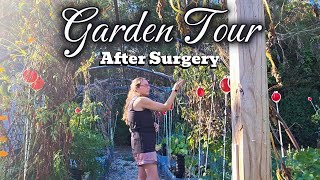 29° Freeze Shocked My Garden! What Survived, What Didn’t + Fall Garden Tour
