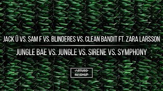 [2V] Jungle Bae vs. Jungle vs. Sirene vs. Symphony (Martin Garrix Mashup)